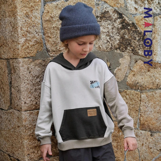 sweat à capuche skate life enfant garçon- gris