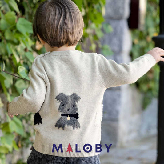 Pull en maille garçon- Gris -robes et ensembles pour filles, bébés et garcons - MALOBY